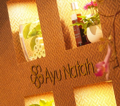 本日より2026年営業スタートします！